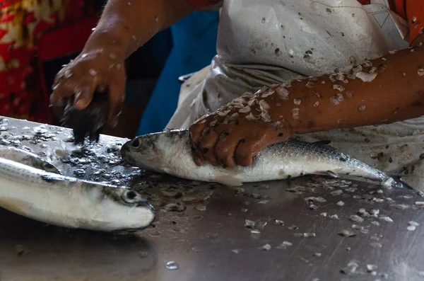 Mano de hombre con guantes prepara pescado para la venta en el mercado. — Foto de Stock