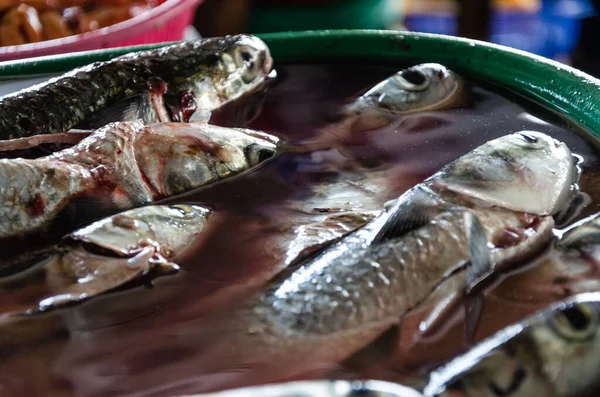 Penjualan ikan segar di pasar Chorrillos di Lima, Peru. — Stok Foto