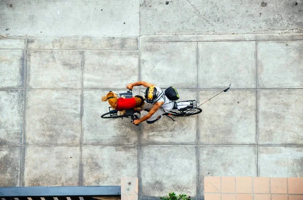 Fiatal hátizsák kerékpáros utazó kutyájával. — Stock Fotó