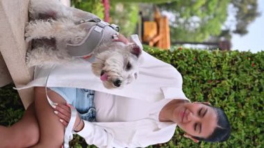 Gri schnauzer 'ını mutlu bir şekilde besler yemyeşil bir parkta, hem mutlu hem neşeli