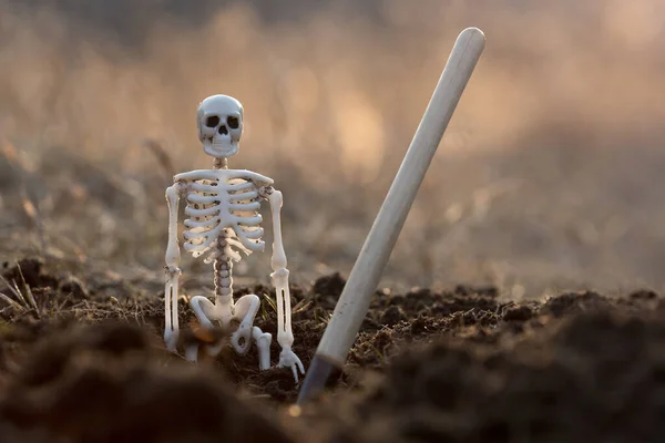 Ένας Σκελετός Που Προεξέχει Από Έδαφος Δίπλα Ένα Φτυάρι Κολλημένο — Φωτογραφία Αρχείου