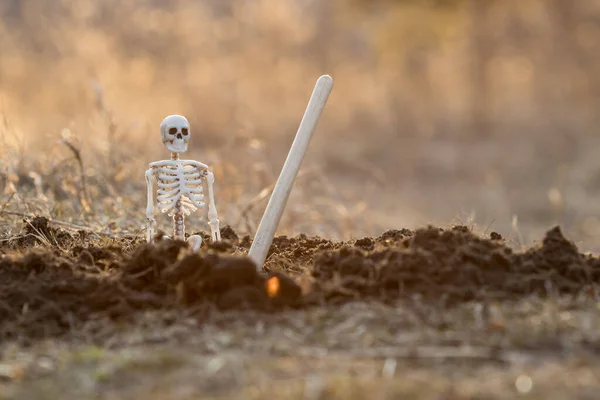 Scheletro Inginocchiato Nel Terreno Accanto Esso Una Pala Bloccata Nel — Foto Stock