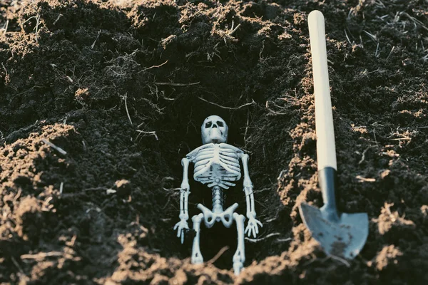 Groef Een Skelet Uit Grond Naast Een Schop Graafvondst — Stockfoto