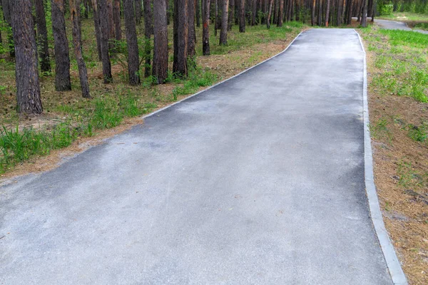 Vazio Caminho Asfalto Deserto Para Caminhar Parque Lugar Para Andar — Fotografia de Stock