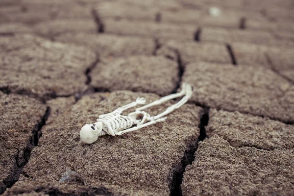 Игрушечный Человеческий Скелет Треснувшей Почве Перед Предупреждением Глобальном Потеплении — стоковое фото