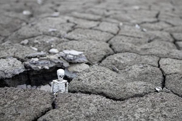 Треснувшая Почва Глиняном Карьере Скелет Выглядывающий Земли Проблема Вымирания Почвы — стоковое фото
