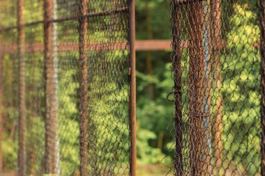 a mesh fence stretching into the distance, a rusty metal grill. background blurred forest