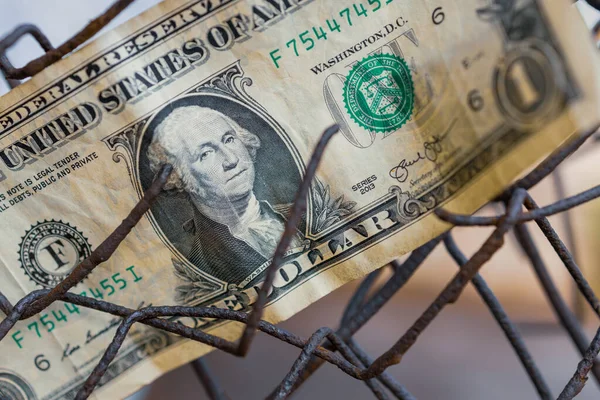 One Dollar Stuck Fence Money Captivity — Stockfoto