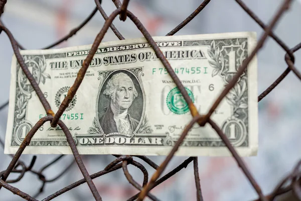 One Dollar Stuck Iron Mesh Fence Got Trouble Arrested Dollar — Stockfoto