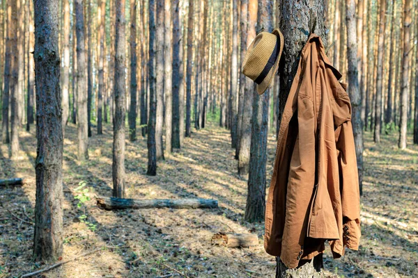 Veste Brune Accrochée Pin Dans Forêt Chapeau Quelqu Laissé Ses — Photo