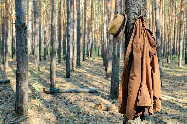 Brun Jacka Hängande Ett Tallar Skogen Och Hatt Någon Lämnade — Stockfoto