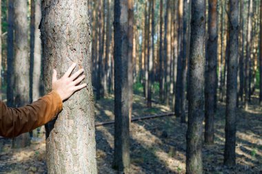Erkek eli ormanda bir ağaç gövdesine basıyor. Doğaya ve ormana olan saygıyı ve korumayı simgeliyor.
