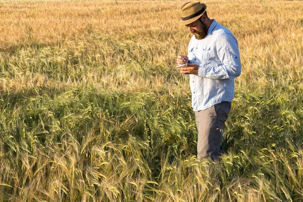 a farmer with a hat keeps statistics on the growth of cereals in the field. accounting and analysis of yield