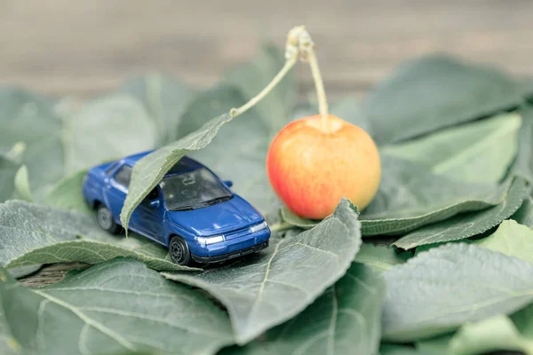 toy blue car next to an apple on green leaves. eco-friendly car - taking care of nature