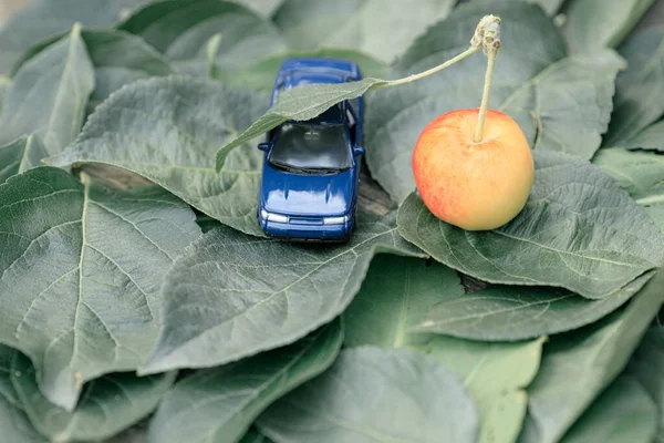 toy car under a leaf of a small apple. nature and mechanisms can be friends