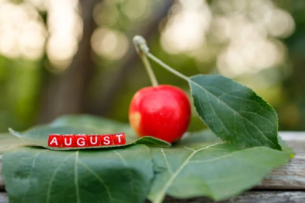 Los Cubos Rojos Con Las Letras Que Puesta Palabra Agosto — Foto de Stock