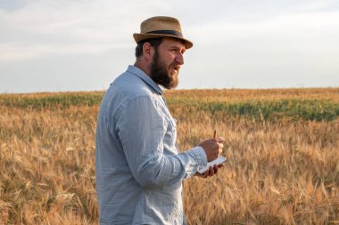 Erkek tarımcı sahada duruyor ve bitkilerin büyümesini analiz ediyor. Çiftlik tarlasında yaz akşamı