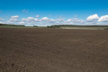 Kırsal alanda tarlalar ve mavi gökyüzü, yuvarlanan tepeler ve çiftlik arazisi