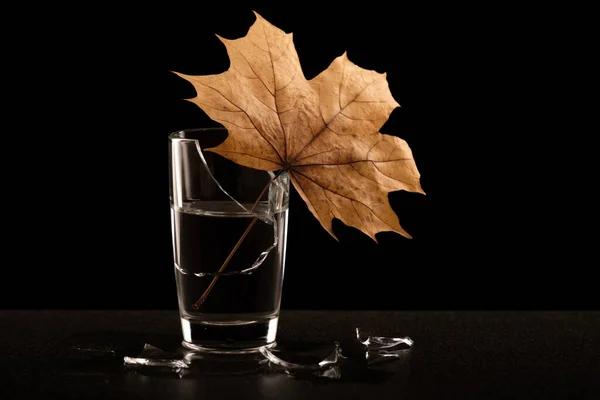 Still Life Autumn Leaf Inserted Broken Glass Water Autumn Problems — Fotografia de Stock