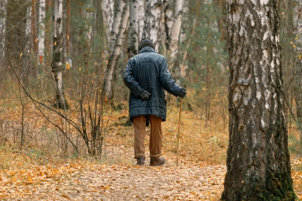 手に杖を持って腰を下ろす老人 秋の森の中を歩く老人 — ストック写真