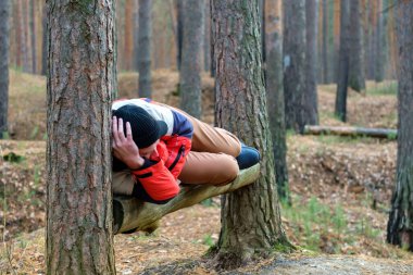 Parkta dinlenen bir adam çam ormanında bir bankta yatıyor. Bir sonbahar günü yürüyüş için uyumak.