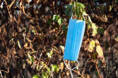 Sonbahar ağacında asılı duran sarı yapraklı tıbbi yüz maskesi. Kişisel koruma malzemelerinin enkazı sorunu.