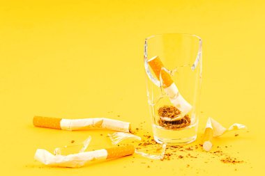 Kırık cam, alkol, kırık sigara ve dağınık tütün. Sigarayı bırakma girişimleri
