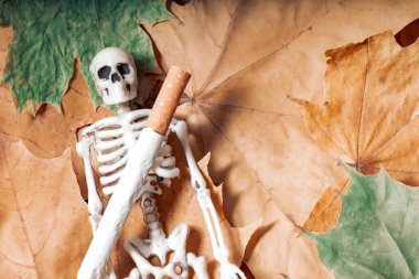 Sonbahar yapraklarından yapılmış bir yüzeyde yatan insan iskeletinin üzerindeki sigarayı filtrele. Sonbaharda sigara içmek istiyorum.