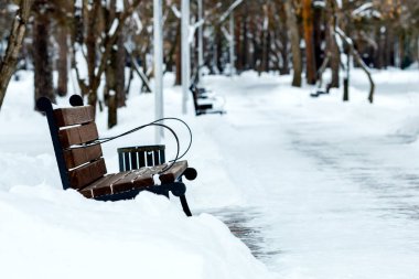 Yürüyüş yolunun yakınındaki parkta boş bir bank. Kimse kışın parkta değildir.