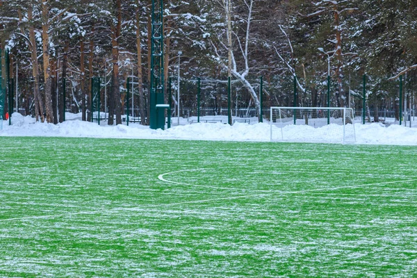 Campo Fútbol Vacío Con Objetivo Para Entrenamiento Nieve Sobre Césped —  Fotos de Stock