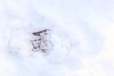 Dolar kışın karla kaplı. Ekonomide dondurucu soğuk, para için soğuk bir zaman.