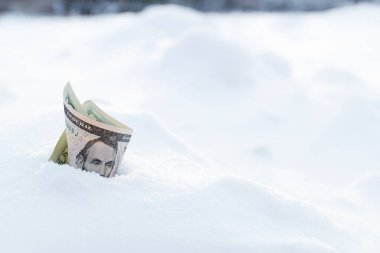 Kar yığınında beş dolar, kardan çıkan para. Uçup giden ve donan para.