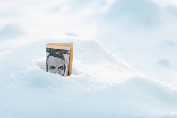 Rolled Five Dollars Inserted Snow Frozen Dollar Stock Photo
