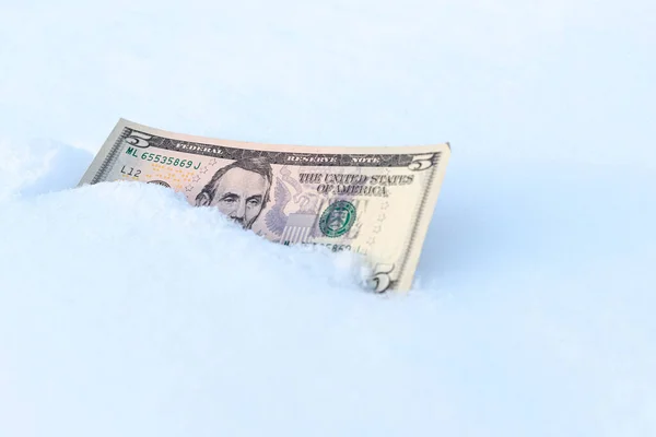 Five Dollar Bill Snow Cold Time Dollar Stock Photo
