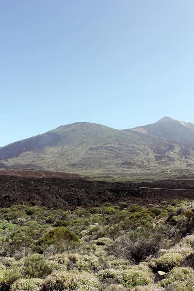 Teide vulkan - insel teneriffa — Stockfoto