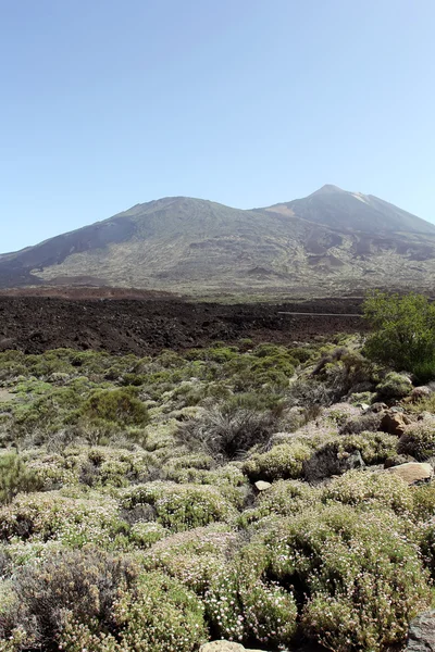 Teide yanardağı - Tenerife Adası — Stok fotoğraf