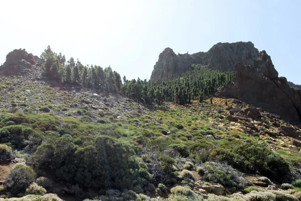 Teide volcano - Island of Tenerife — Stock Photo, Image