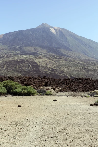 Volcan Teide - île de Tenerife — Photo