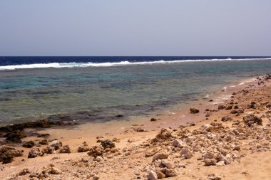 Kızıl Deniz