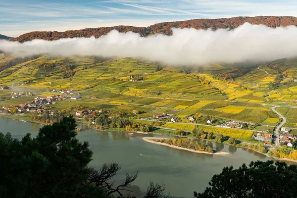 Wachau Österreich Einem Sonnigen Herbsttag Farbige Blätter — Stockfoto