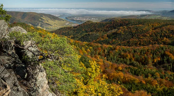 Wachau Austria Lembah Pada Hari Yang Cerah Musim Gugur Daun — Stok Foto