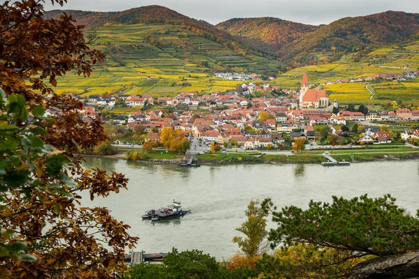 Weissenkirchen Wachau Austria Autumn Colored Leaves Vineyards Foggy Day — Stock Photo, Image