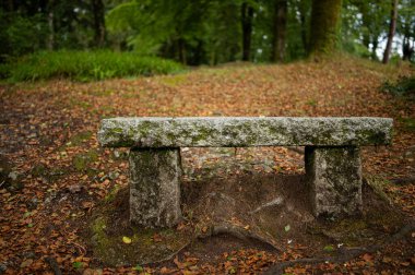 Yazın bulutlu bir günde Huelkeçi ormanında (Brittany, Fransa) taş bank