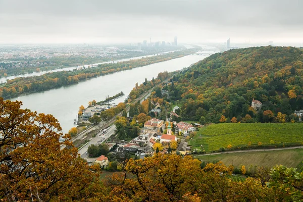 Kahlenbergerdorf Der Donau Wien Österreich Einem Nebligen Herbsttag — Stockfoto