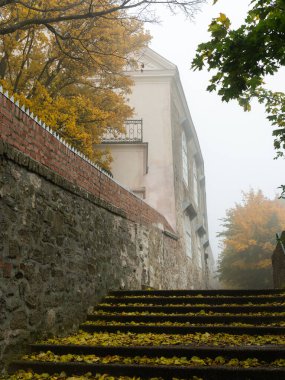 Sonbaharda sisli bir günde yaprak döken bir ormanda eski bir evin yanındaki merdivenler ve patika, renkli yapraklar, Viyana (Avusturya))