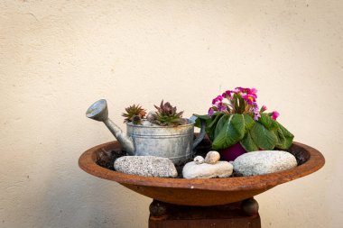 Küçük bitkilerle dolu bir tencereye yakın çekim, sulama kutusu, küçük çakıl taşları.