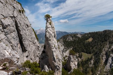 Admont yakınlarındaki Avusturya Alpleri yazın güneşli bir günde, ulusal park Gesaeuse, ilginç kaya oluşumu