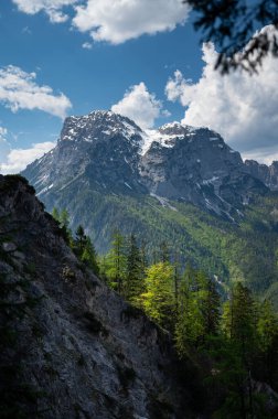Avusturya Alpleri Admont yakınlarında güneşli bir yaz gününde, ulusal park Gesaeuse