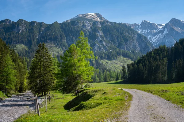 Alpi Austriache Vicino Admont Una Giornata Sole Estate Parco Nazionale — Foto Stock