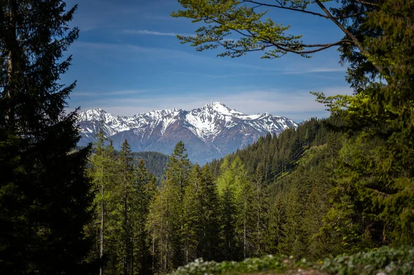 Oostenrijkse Alpen Buurt Van Admont Een Zonnige Dag Zomer Nationaal — Stockfoto